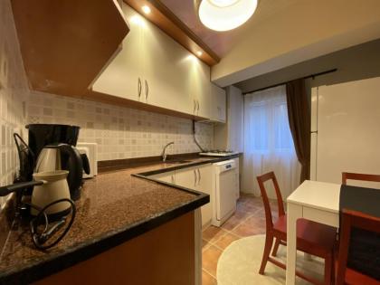 Capacious Flat Near Taksim Square in Beyoglu - image 9