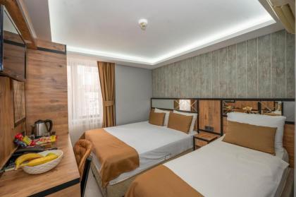 Boutique Dedem Hotel Sultanahmet - image 14