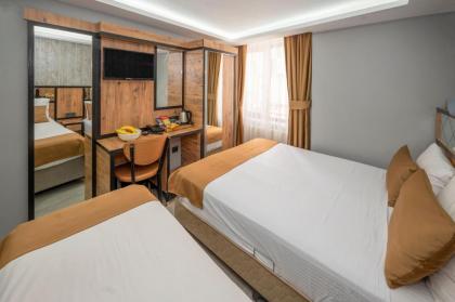 Boutique Dedem Hotel Sultanahmet - image 15