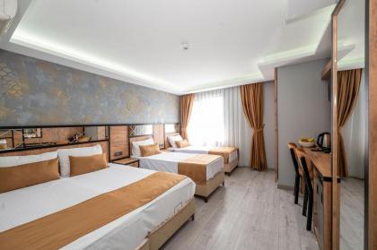 Boutique Dedem Hotel Sultanahmet - image 5