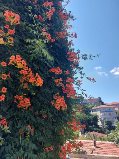 Tarabya Family Suıt Villa - image 11