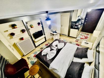 Taksim center luxury hotel - image 2