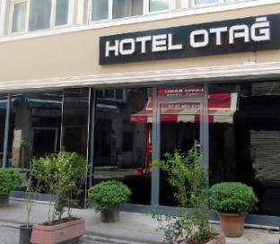 Hotel Otag - image 5