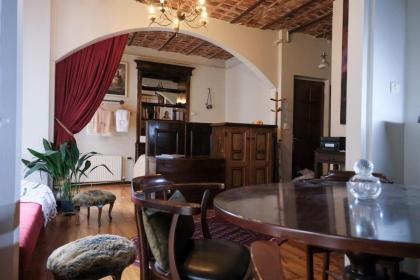 Old stylish vintage apt in Pera - image 12