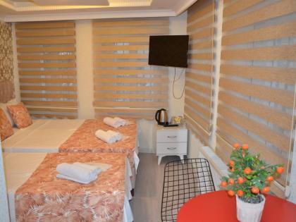 Isil Hotel Sultanahmet - image 11