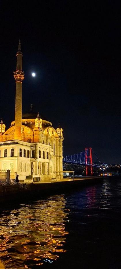 istanbul vipinnhotels - image 18